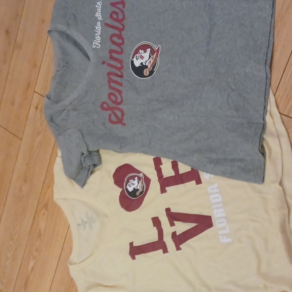 FSU Collegiate Graphic T-shirt SS V-Neck Lot Two Pink Gray New Large